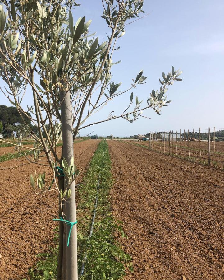 Cirò Marina Agriturismo Donna Germana المظهر الخارجي الصورة
