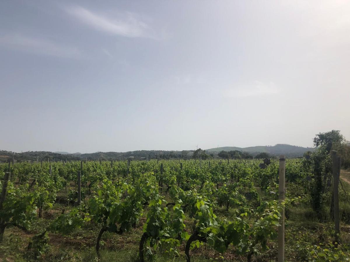 Cirò Marina Agriturismo Donna Germana المظهر الخارجي الصورة